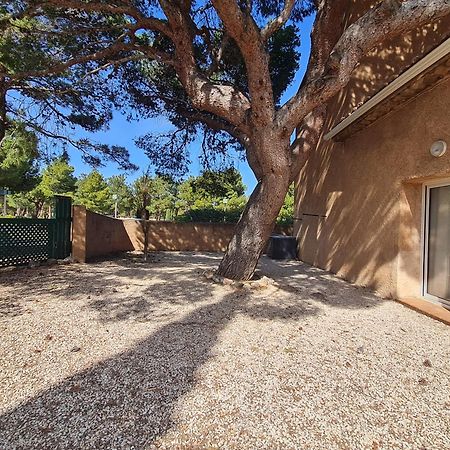 Paisible Maison A L'Ombre Des Pins Fitou Zewnętrze zdjęcie
